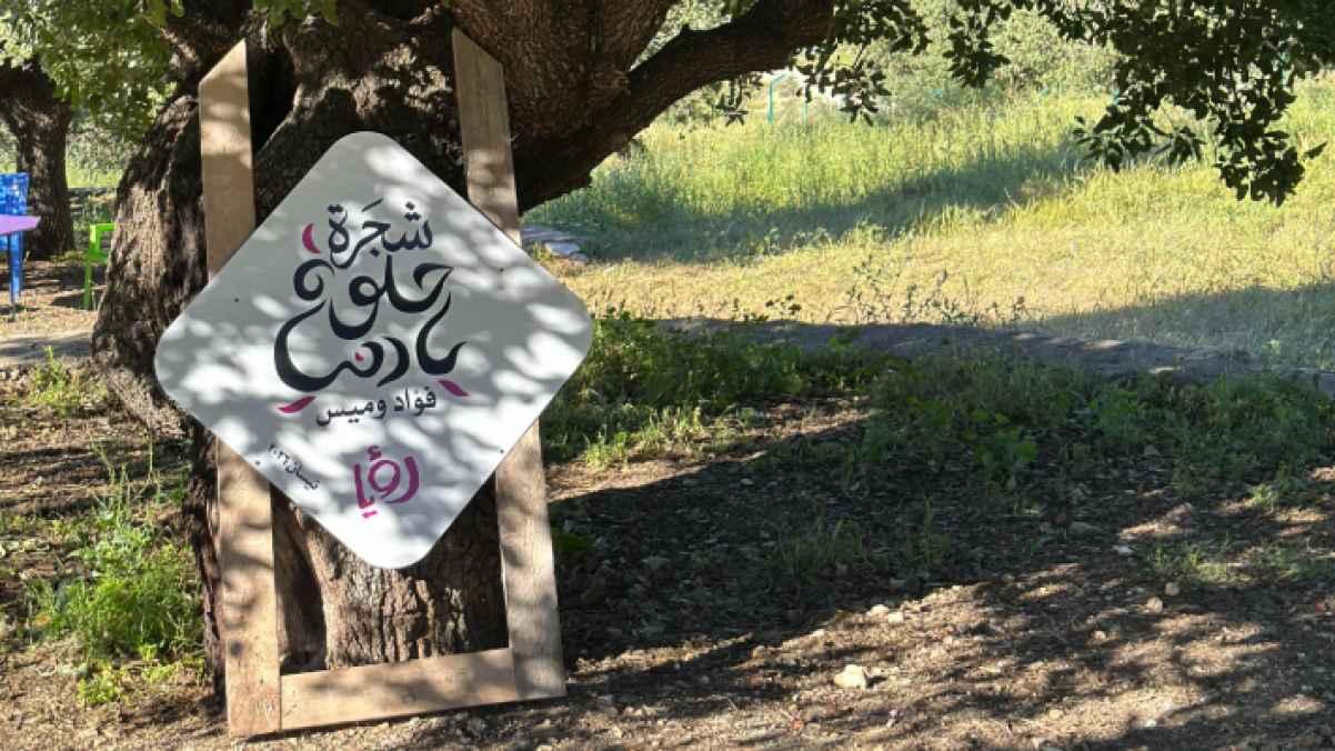 Sahm Al-Kafarat residents place “Helwa Ya Dunya” sign on one of the ancient oak trees
