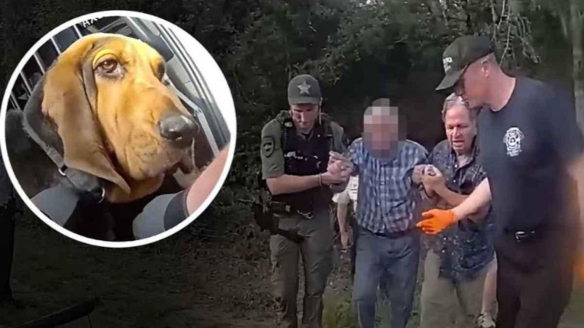 Camera captures moment search dog finds missing elderly man in Florida forest
