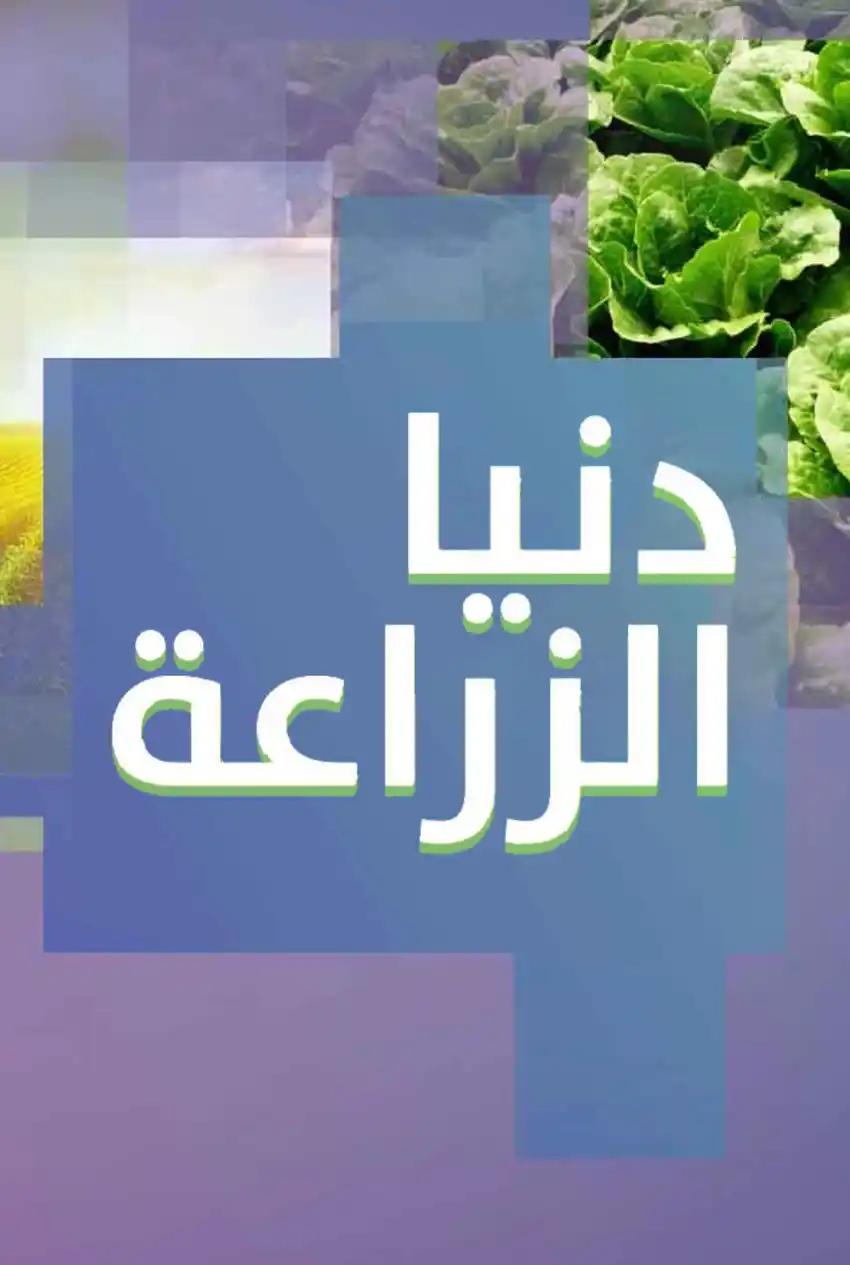 صورة من موقع رؤيا