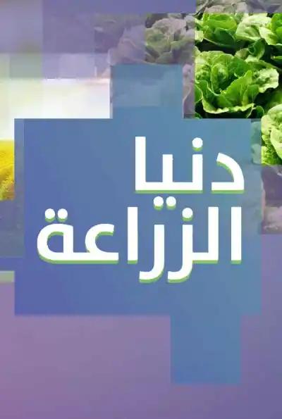 صورة من موقع رؤيا