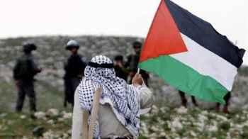 نجوم الفن يدعمون الشعب الفلسطيني بكلمات مؤثرة - صورة
