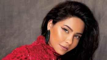 محامي شيرين عبد الوهاب مهددا:"سألجأ إلى القضاء "