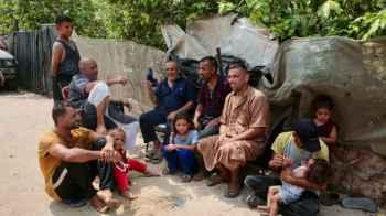 In Gaza… The Remaining Shade of Trees Is a Refuge for Weary Souls
