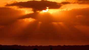When the horizon weeps: the sunset mourns Gaza’s hungry and their dreams
