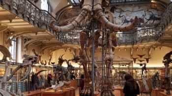 Thieves exploit cyber loophole… $700,000 theft at a Paris museum