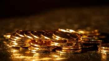 French man discovers gold treasure buried in his garden