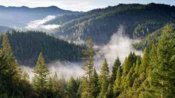 Italian parents face consequences after deciding to live with their children in a forest