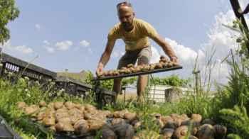 Strange theft from a farm worth $100,000
