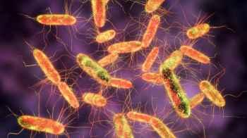 Salmonella outbreak linked to source in the U.S