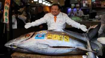 Record price for a tuna fish at a public auction