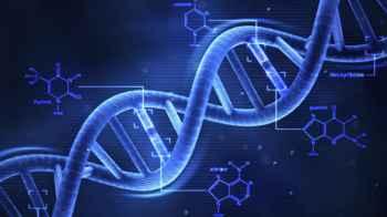 Twins refuse to admit to a crime due to their identical DNA