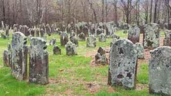 Cemetery Visit Ends in Tragedy After Teen  Kills Woman