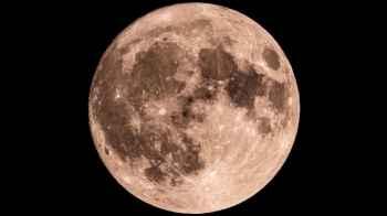 Scientists discover food that could be grown on the Moon