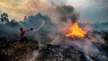 Forest Fires in Indonesia Disrupt Traffic Due to Thick Smoke