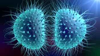 UK Issues Urgent Health Alert Following Meningitis Outbreak Deaths