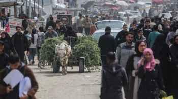 Gaza breathes again… resilience defies the impossible – Photos
