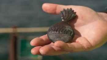 200-Year-Old Shipwreck Found in Copenhagen Harbor