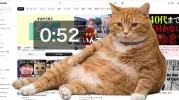 Chrome Extension Shows a Cat That Blocks the Screen to Limit Excessive Browsing