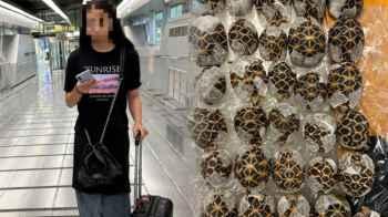 Woman Arrested at Thailand Airport for Trying to Smuggle 30 Tortoises Strapped to Her Body