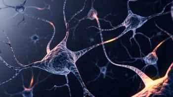 Researchers Develop Artificial Neurons That Interact With the Brain