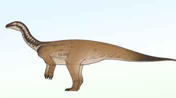 Scientists discover new species of dinosaurs that lived in China