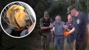 Camera captures moment search dog finds missing elderly man in Florida forest