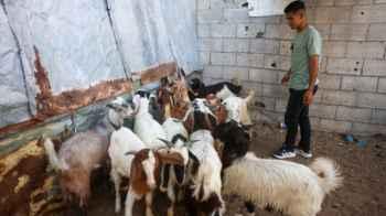 Between displacement and hunger… Gaza awaits an Eid with no clear features