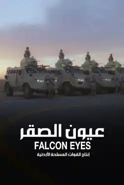 Documentary Film - Falcon Eyes