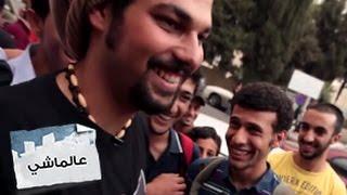 القرد