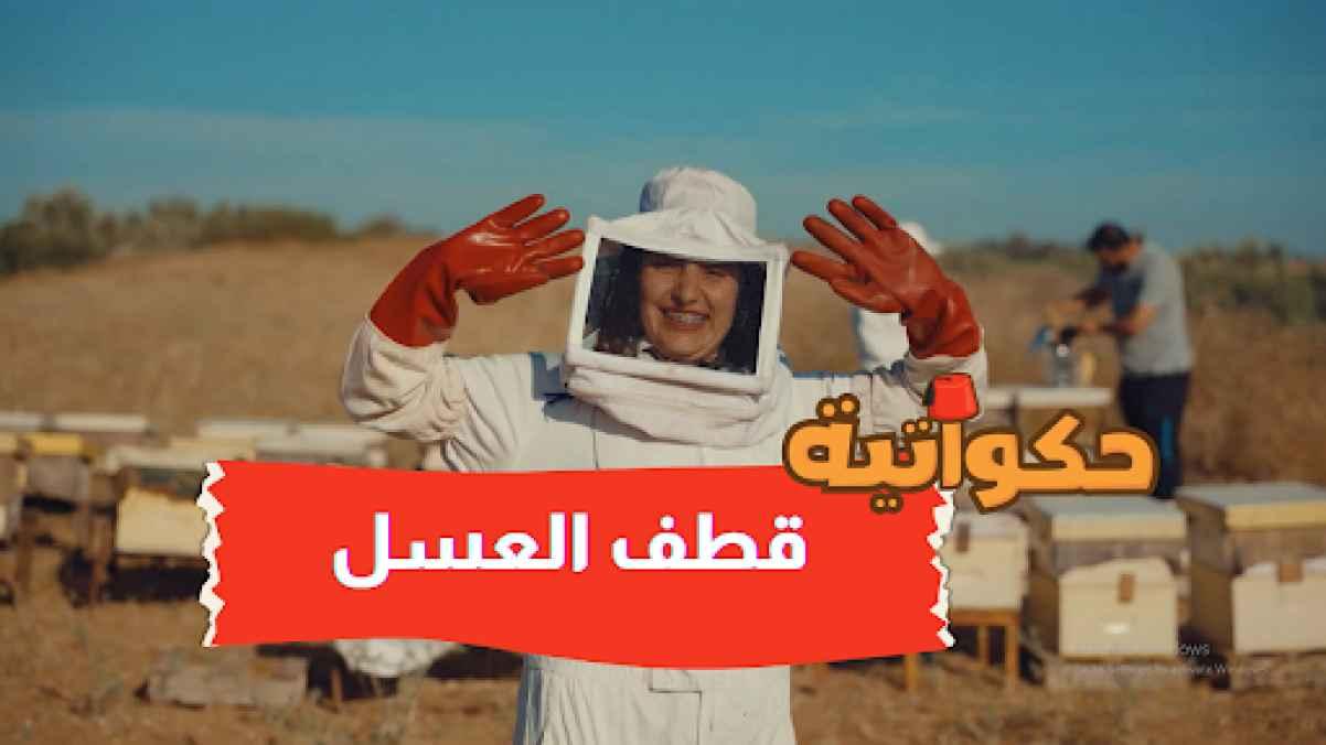 Episode Eight - Harvesting Honey