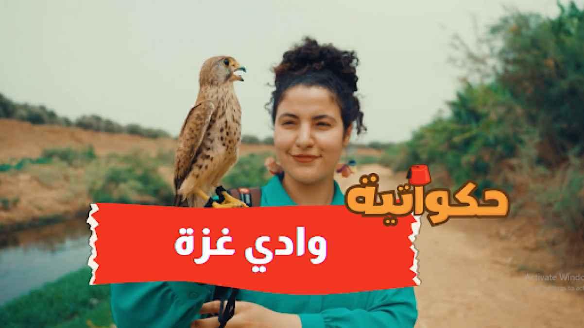 Episode 9
