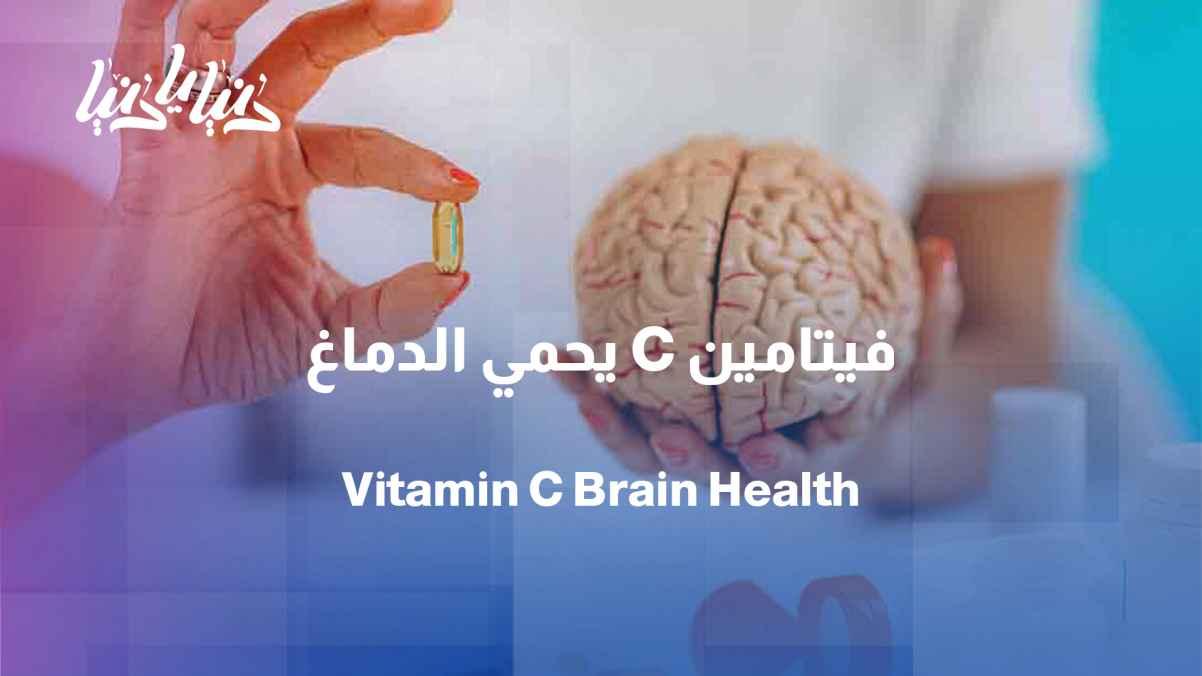 Vitamin C and the brain... Can our diet delay brain aging?