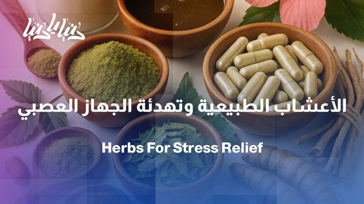 Herbs and stress relief: How do they really help to soothe the nervous system?