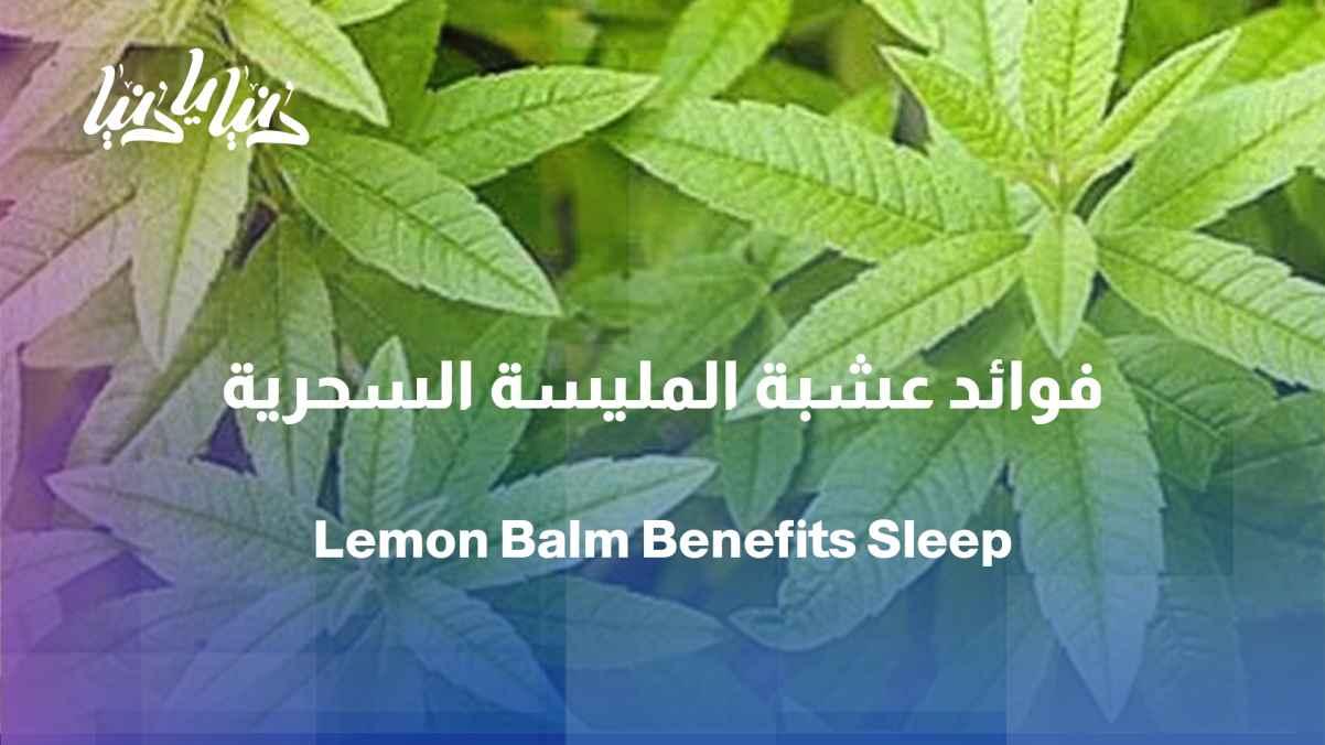 Lemon balm: The herb of calmness, sleep, and colon comfort