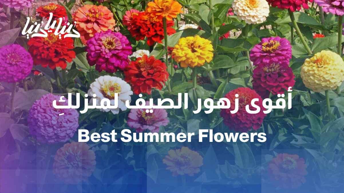 What are the best flowering plants and when is the best time to plant them?