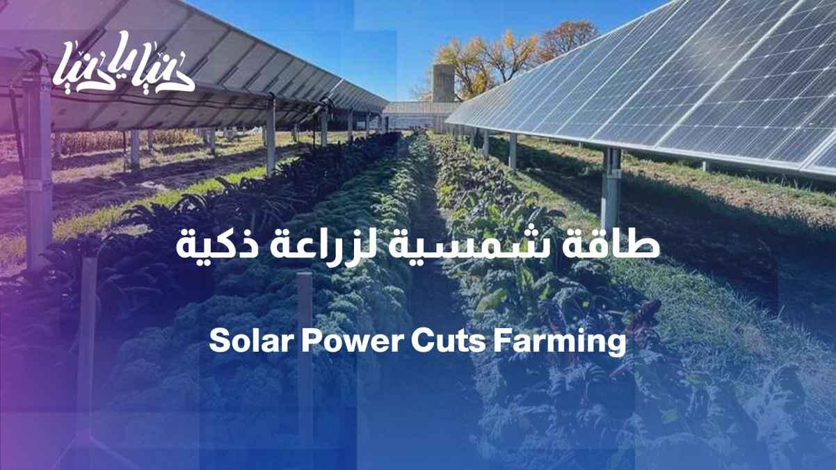 From sunlight to the fields... How can solar energy reduce the cost of farming?