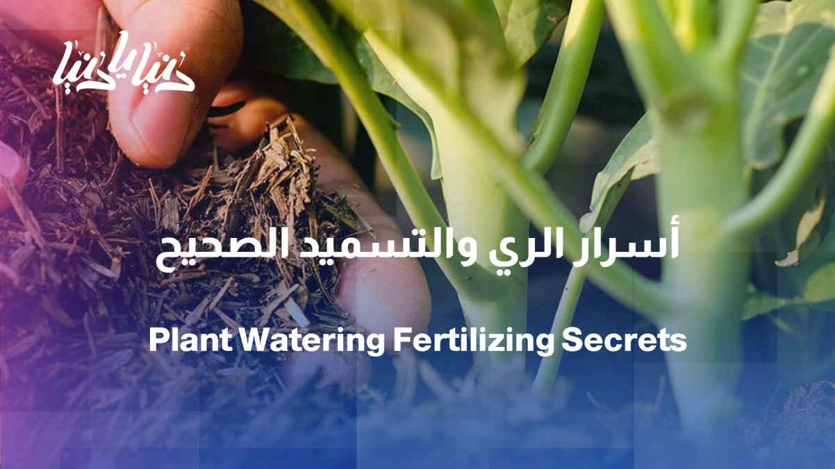 With engineer Amal Al-Qaimari... we welcome your calls about the secrets of successful fertilization and irrigation.