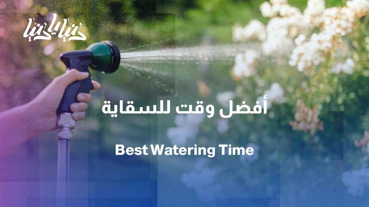 Key guidelines for determining when to water plants in the summer
