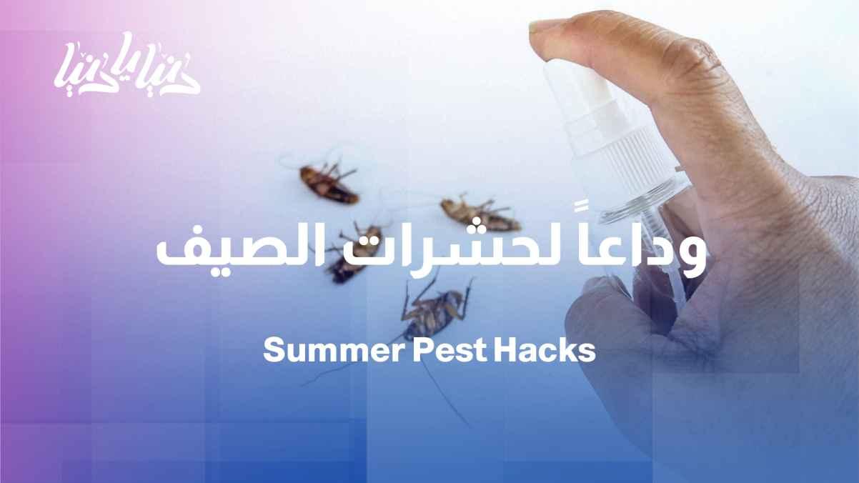 Insects in the summer... how can we protect our homes from them effectively?