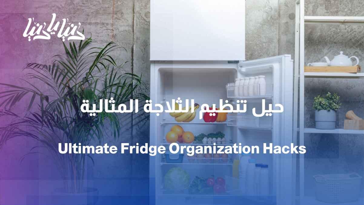 From cleanliness to organization... simple steps to a perfect refrigerator