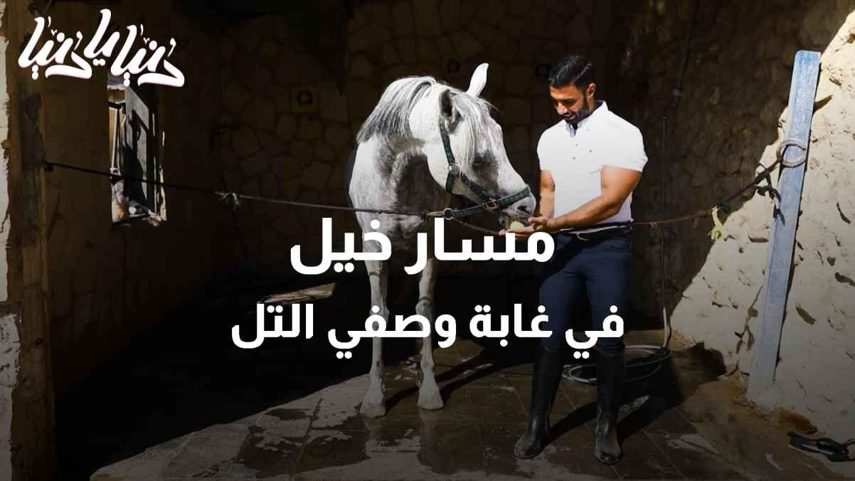 جولة في مسار خيل غابة الشهيد وصفي التل