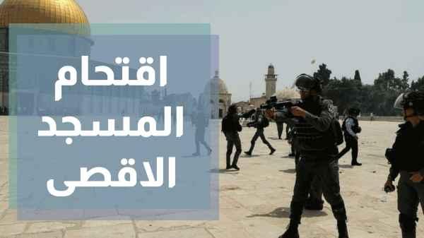 الاقتحامات المتكررة بأعداد كبيرة للمسجد الاقصى