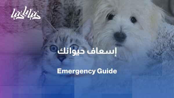 Ask your veterinarian... How do we treat a pet?