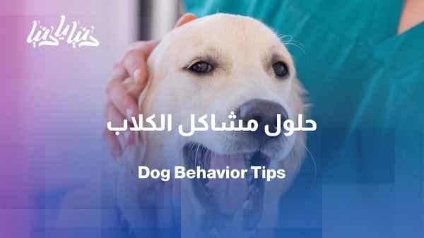 The most common behaviors that dog owners encounter in daily life