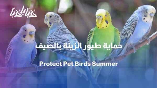 Ornamental birds in the summer... how do we protect them from the heat?