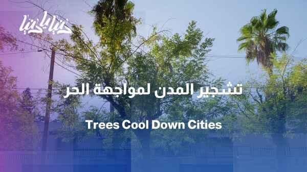 Our trees are our first line of defense against the heat... How do we cool our cities?