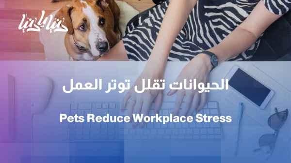 Does having pets at work reduce stress? A study answers.