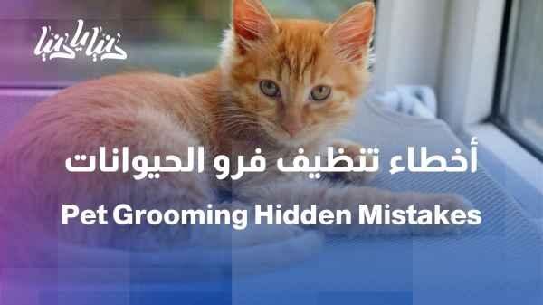 Cleanliness or overdoing it? Common mistakes in pet fur care
