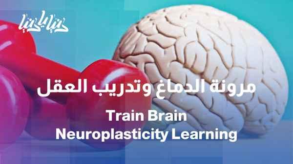 Brain plasticity: How do we train our minds to learn and change?
