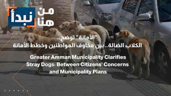 The Municipality clarifies: Stray dogs – between citizens' concerns and the Municipality's plans.